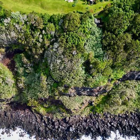 Casas De Incensos - Ter -ta Pontas Negras