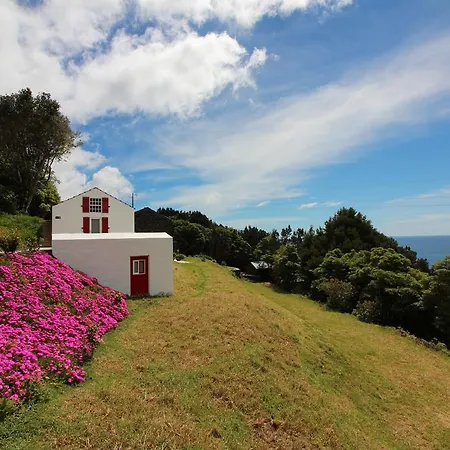Casas De Incensos - Ter -ta